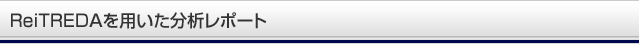 ReiTREDAを用いた分析レポート
